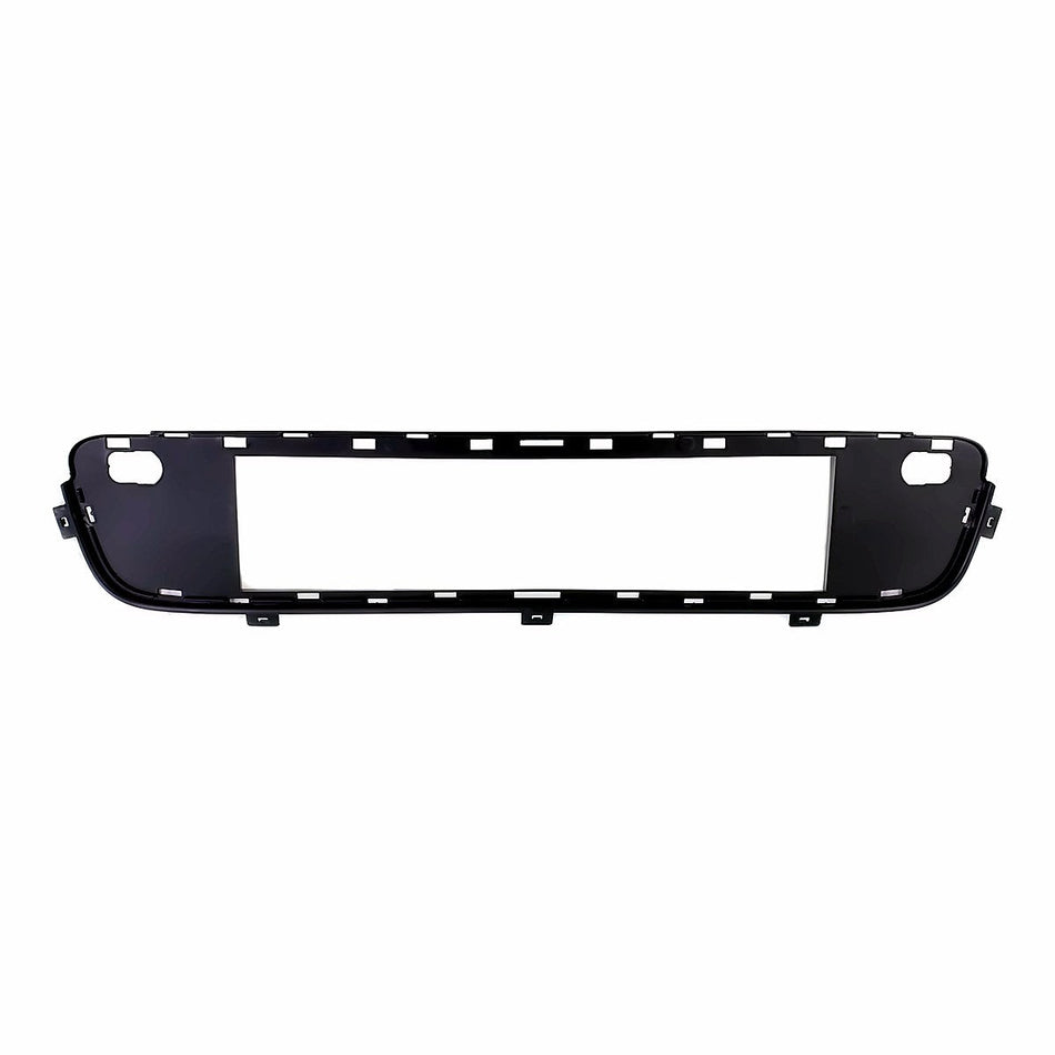 2007-2010 BMW X5 Grille, BM1036129