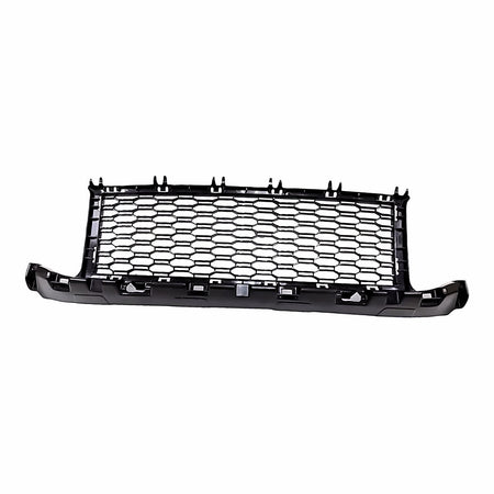 2020-2022 BMW X1 Grille, front, BM1036203