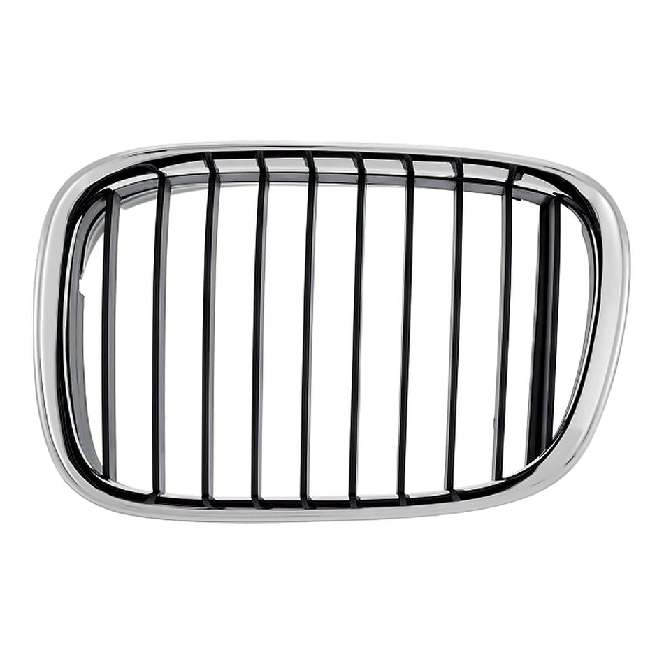 1997-2003 BMW 5 Series Grille, driver side, BM1200117