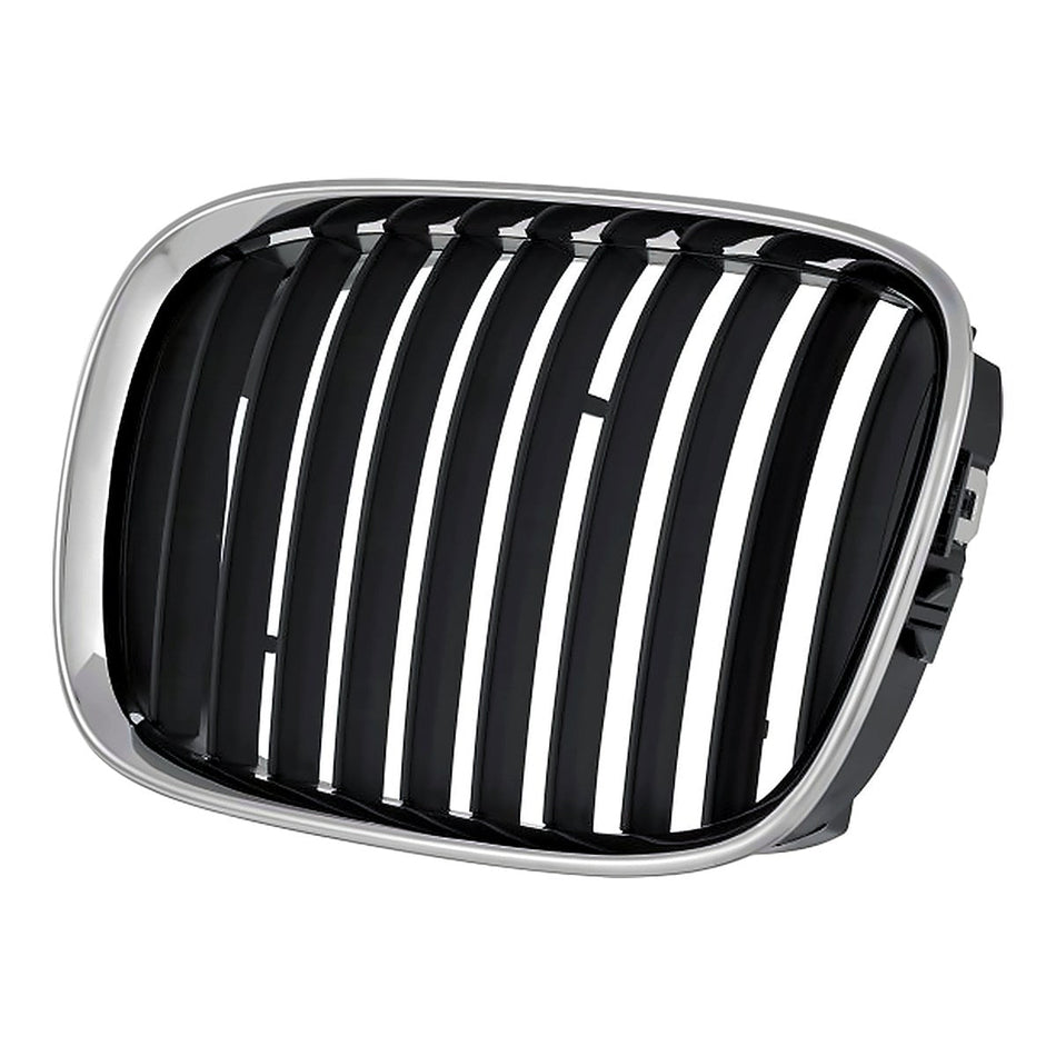 1997-2003 BMW 5 Series Grille, driver side, left-side view, BM1200117