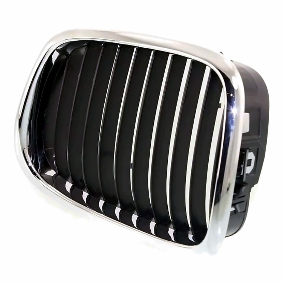 2000-2003 BMW M5 Grille, passenger side, left-side view, BM1200137