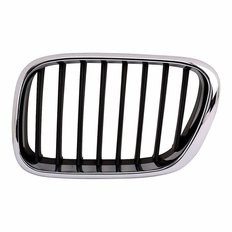 2000-2003 BMW X5 Grille, driver side, BM1200152