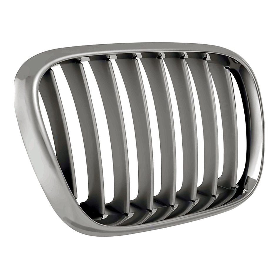 2000-2003 BMW X5 Grille, passenger side, left-side view, BM1200155
