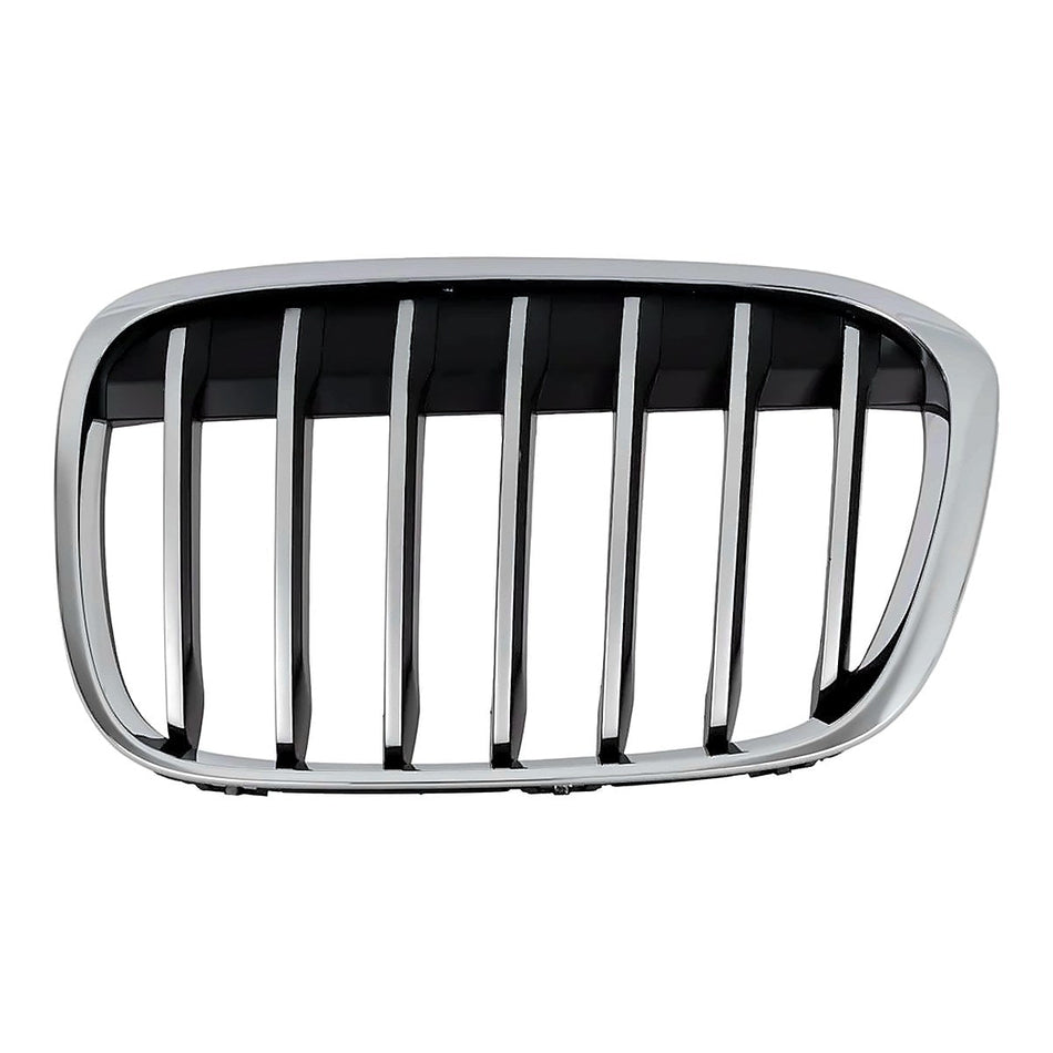 2016-2019 BMW X1 Grille, driver side, BM1200292
