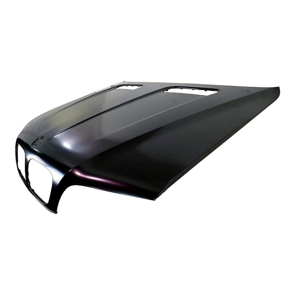 2000-2003 BMW X5 Hood, BM1230114