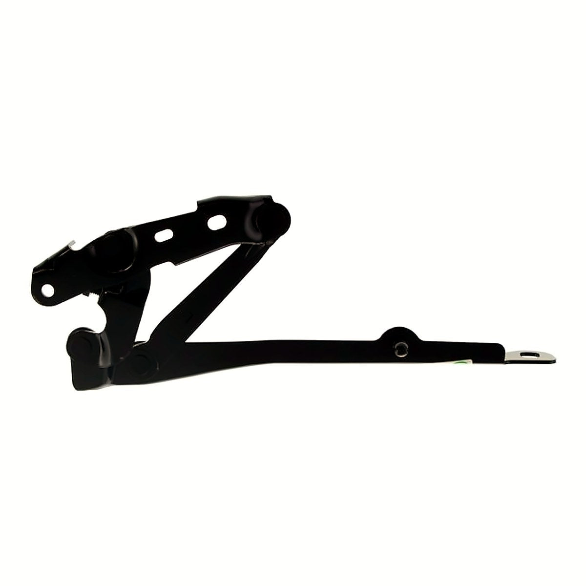 2006-2010 Dodge Charger Hood, driver side, CH1236116
