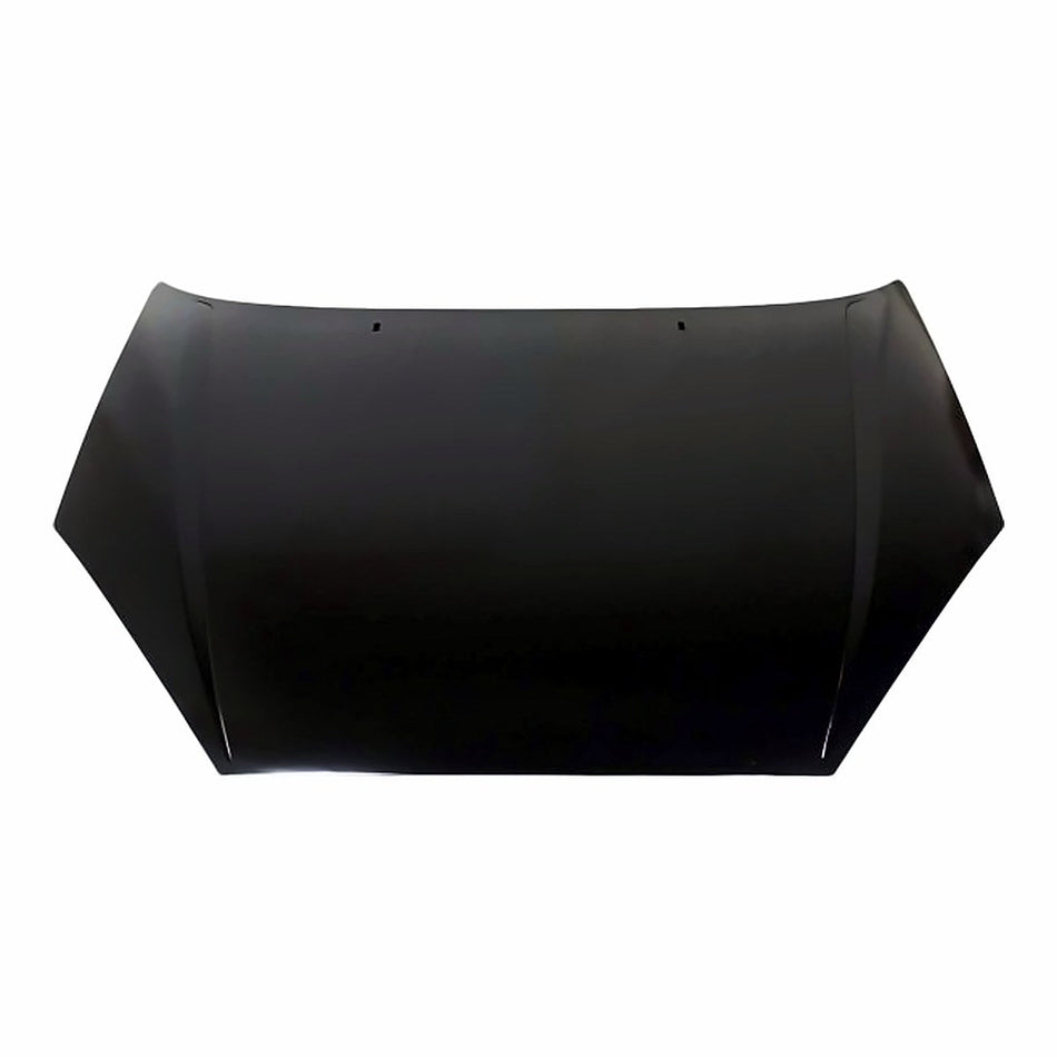 2002-2004 Ford Focus Svt Hood, FO1230188
