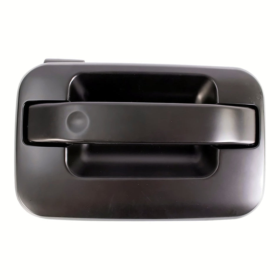2007-2008 Ford F150 Door, front passenger side, FO1311156