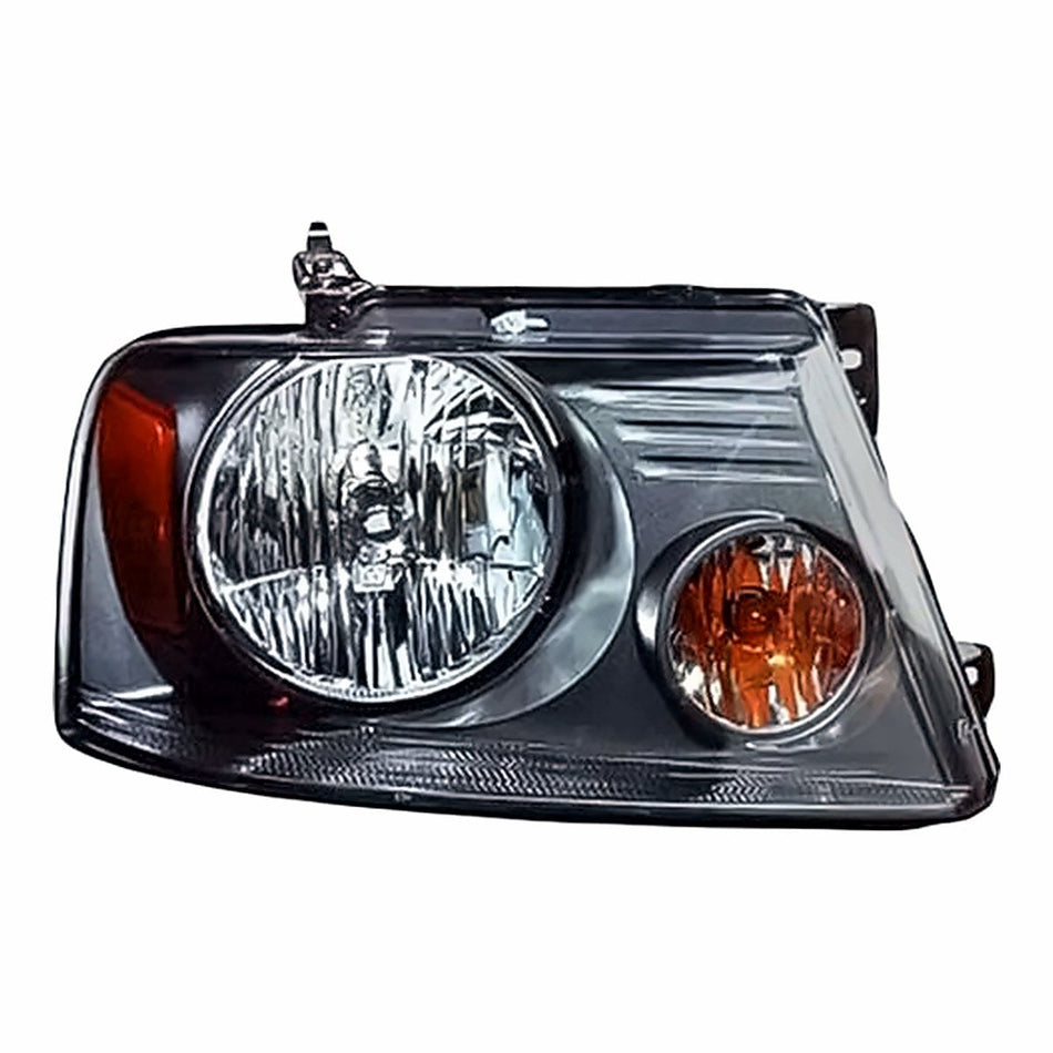 2007-2008 Ford F150 Head Lamp, passenger side, FO2503248