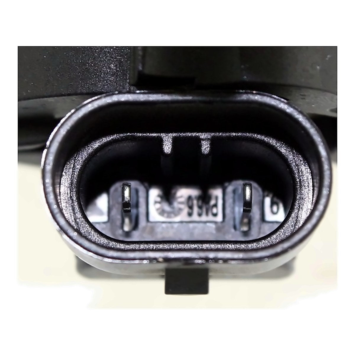 2003-2004 Ford Mustang Cobra Fog Lights, front passenger side, detail view 1, FO2592194