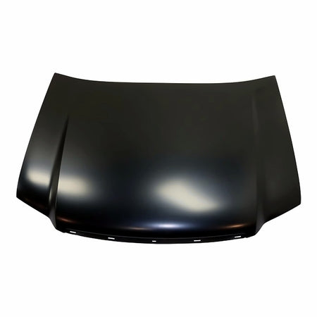 2003-2008 Isuzu Ascender Hood, GM1230318C