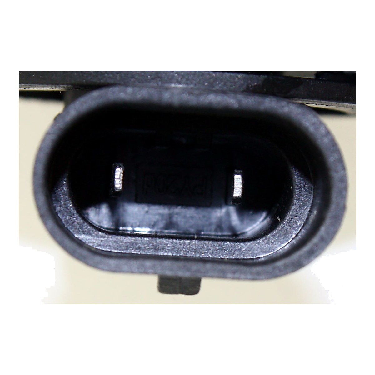 2003-2006 Chevrolet Avalanche Fog Lights, rear view, GM2593127