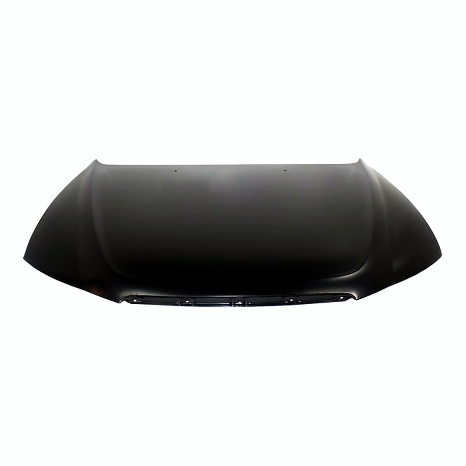 2006-2010 Hyundai Sonata Hood, HY1230134C