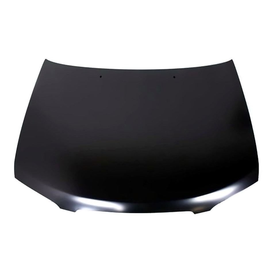 2000-2003 Nissan Sentra Hood, NI1230155