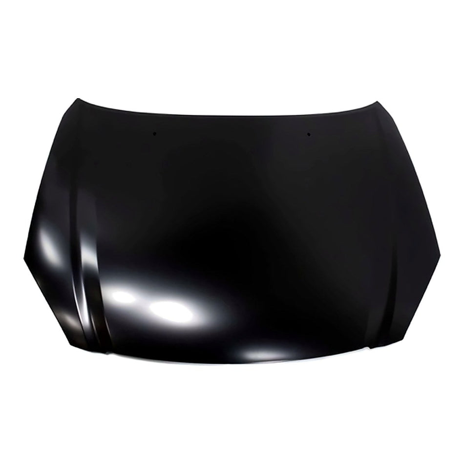 2002-2004 Nissan Altima Hood, NI1230157