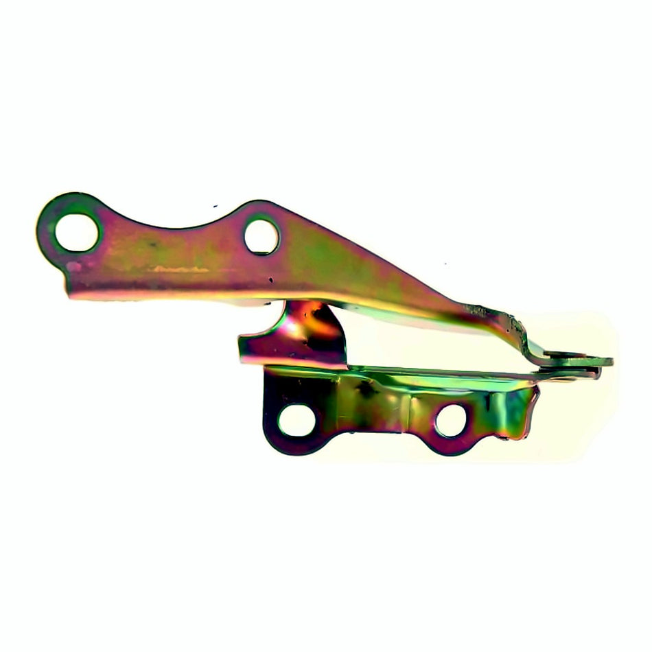 2000-2004 Toyota Avalon Hood, driver side, left-side view, TO1236133