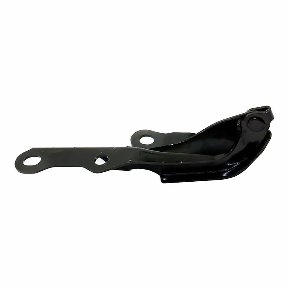 2001-2005 Toyota Rav4 Hood, passenger side, left-side view, TO1236149
