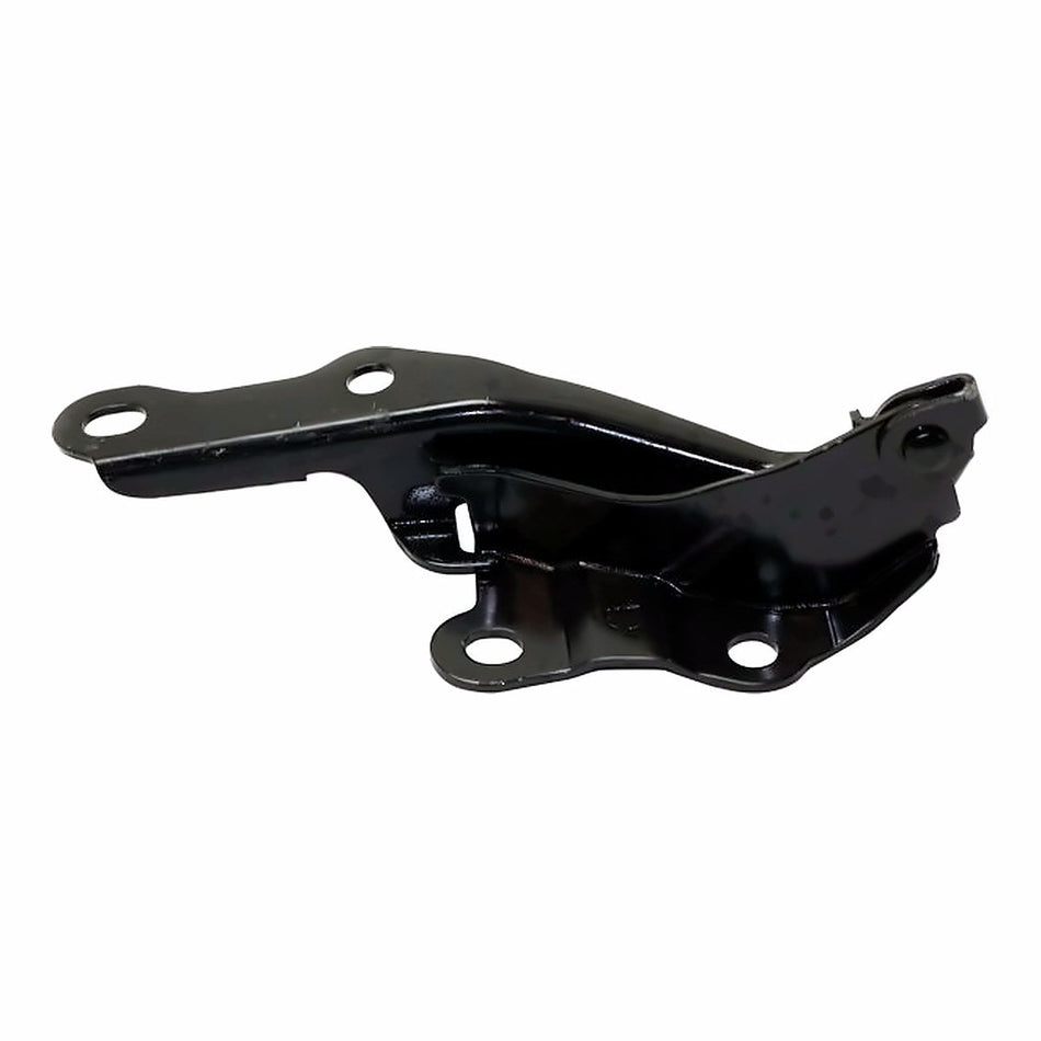 2001-2005 Toyota Rav4 Hood, driver side, TO1236150