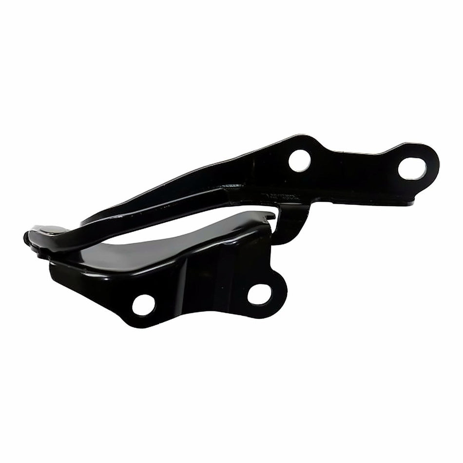 2001-2005 Toyota Rav4 Hood, driver side, left-side view, TO1236150