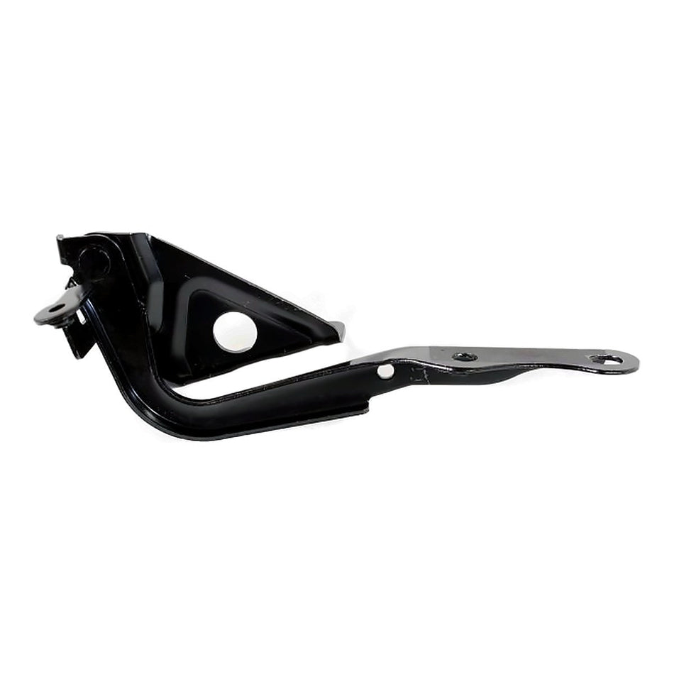 2006-2012 Toyota Rav4 Hood, driver side, left-side view, TO1236164