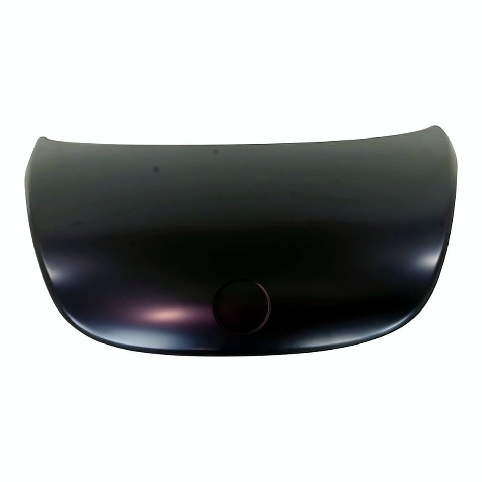 2006-2010 Volkswagen Beetle Hood, VW1230134